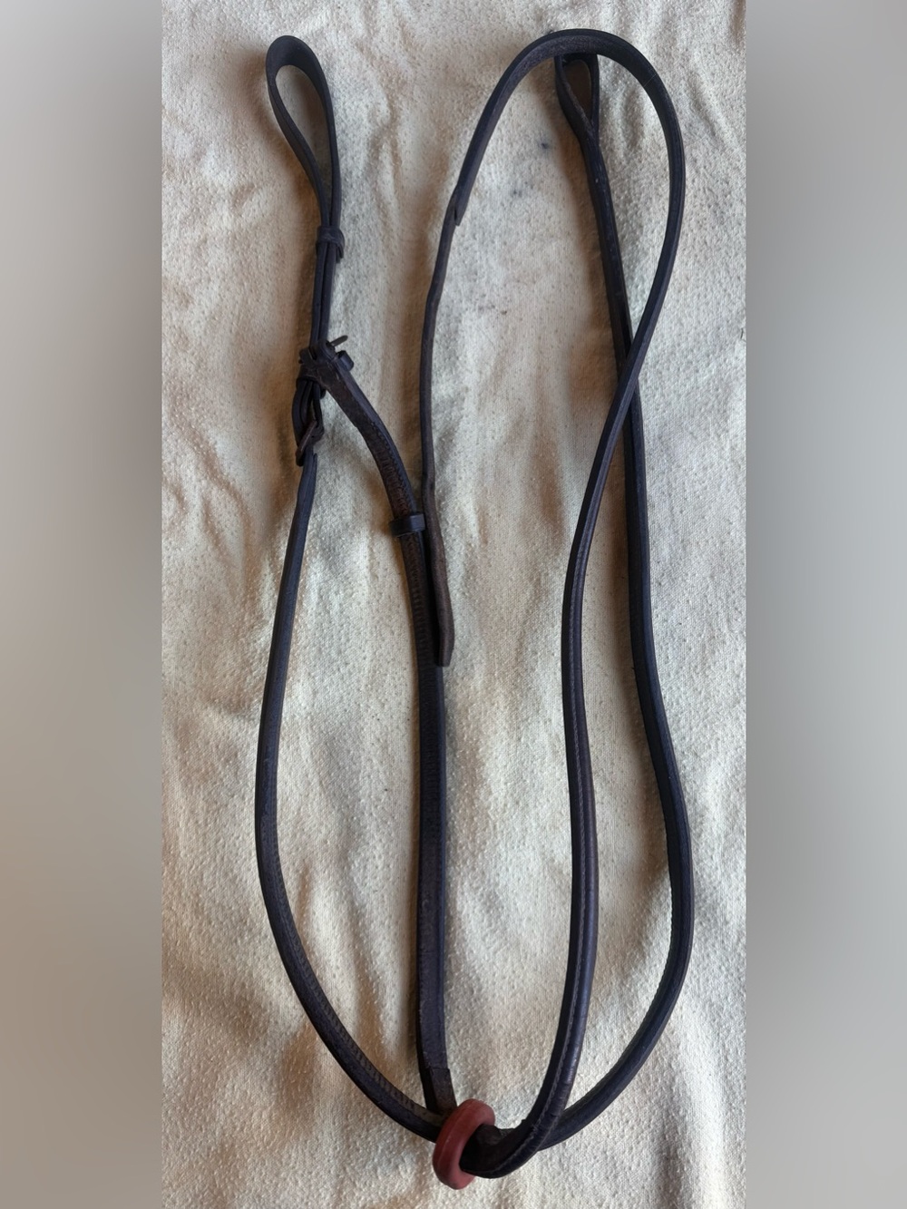 Cob standing martingale